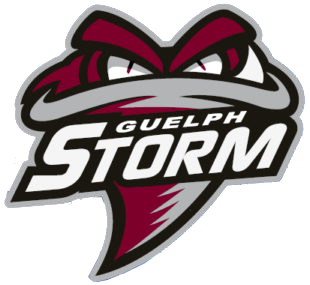 Guelph Storm 2018-Pres Alternate Logo iron on transfers for clothing